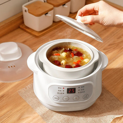 200W Electric Slow Cooker & Steamer